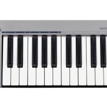 Acorn Instruments Masterkey 25